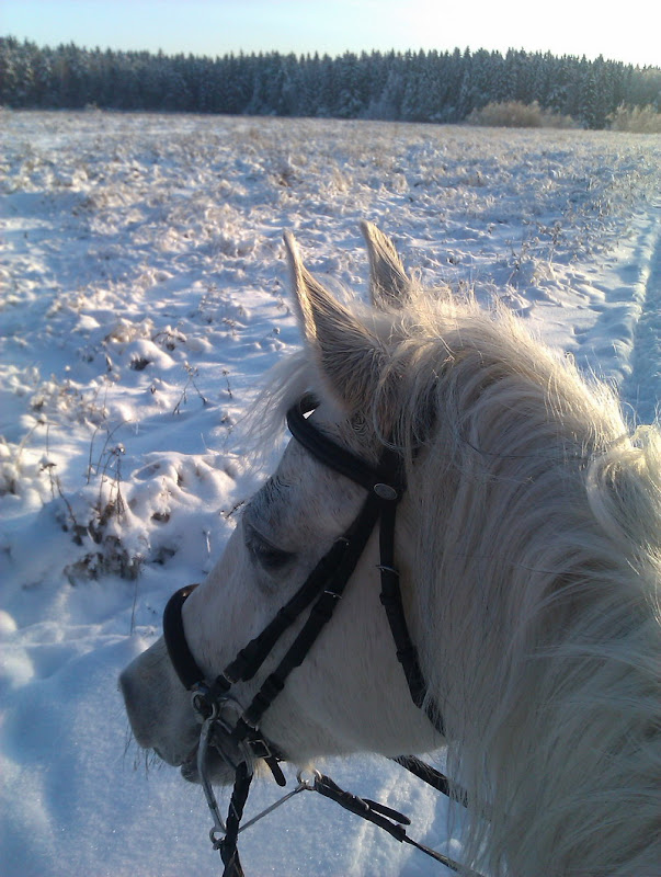 IMAG0094.jpg1.jpg"%20height="800"%20width="603